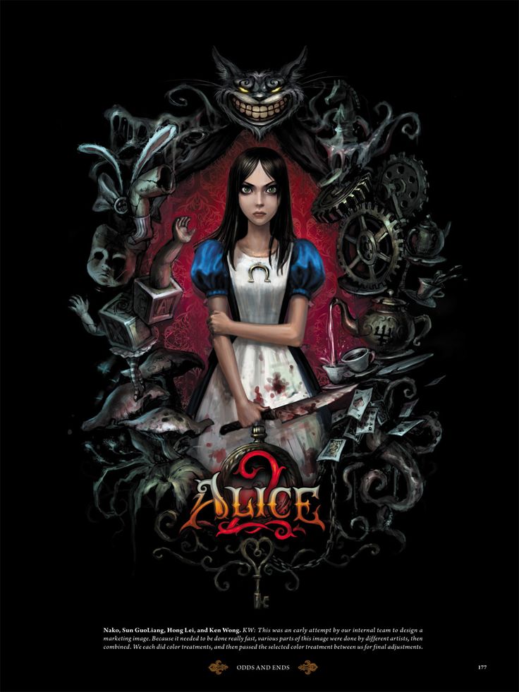 Alice Madness Returns Book - tournew